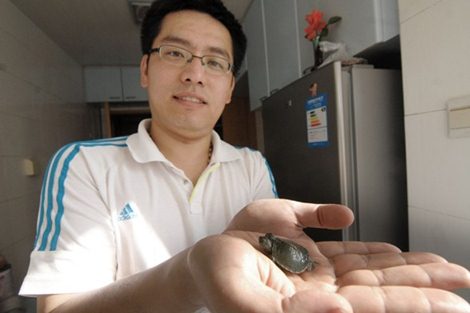 rùa hai đầu