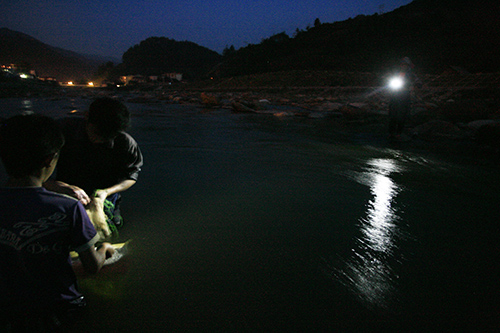 Vợ anh Sư, chị Giàng A Chư ngoài công việc nương rẫy ban ngày, buổi tối phải lấy đèn pin soi cho 2 bố con bắt cá.