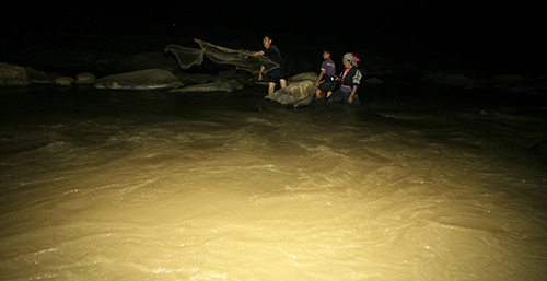 Cá Khuy nhỏ như cá bống, có giá bán tại chợ 200.000 đồng/kg.