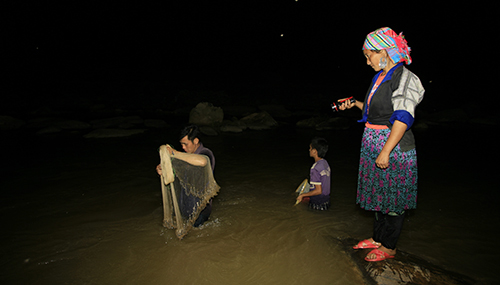 Thông thường, gia đình anh đi bắt cá từ 6h chiều đến 8h tối vì đó là thời điểm nhiều cá khuy nhất tại dòng Nậm Kim.