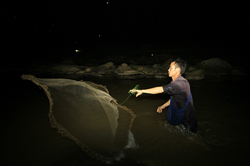 Mỗi ngày ra sông 2 tiếng, gia đình anh bắt được khoảng 5 lạng cá khuy, hôm nào may mắn thì được 1 kg.