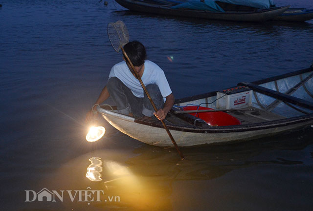 “săn” cua biển giống, “đút túi” tiền triệu