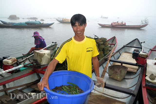 “săn” cua biển giống, “đút túi” tiền triệu