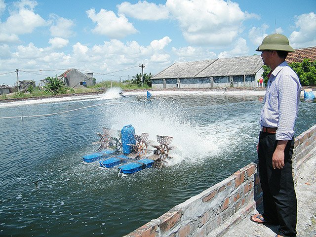 sở hữu ao tôm