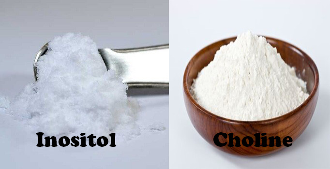 choline và inositol trong nuôi tôm, tác dụng sorbitol với tôm, tăng cường chức năng gan cho tôm