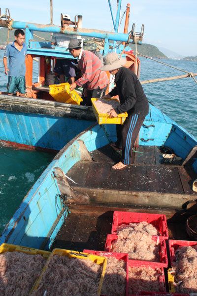 “Lộc biển” được ngư dân bán ngay trên biển.