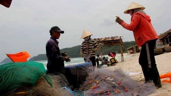 tàu cá trở về