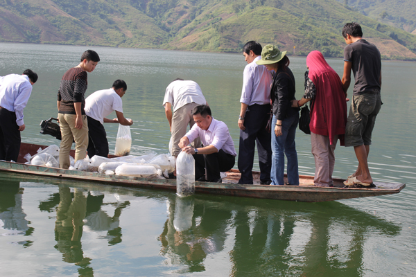 thả cá ở Sơn La