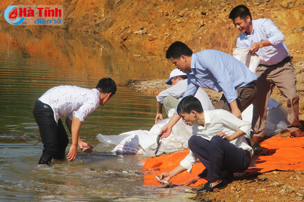 Thả cá tái tạo nguồn lợi, tái tạo nguồn lợi thủy sản, nguồn lợi thủy sản