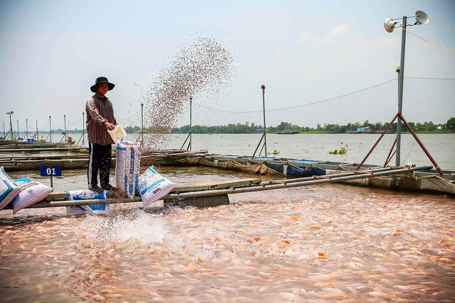 tham nong ho