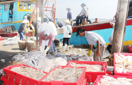 the manh ben tre