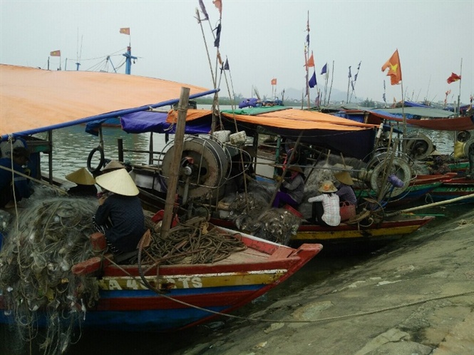 Thẻ vàng EU, thủy sản Việt Nam, khai thác thủy sản, khai thác trái phép