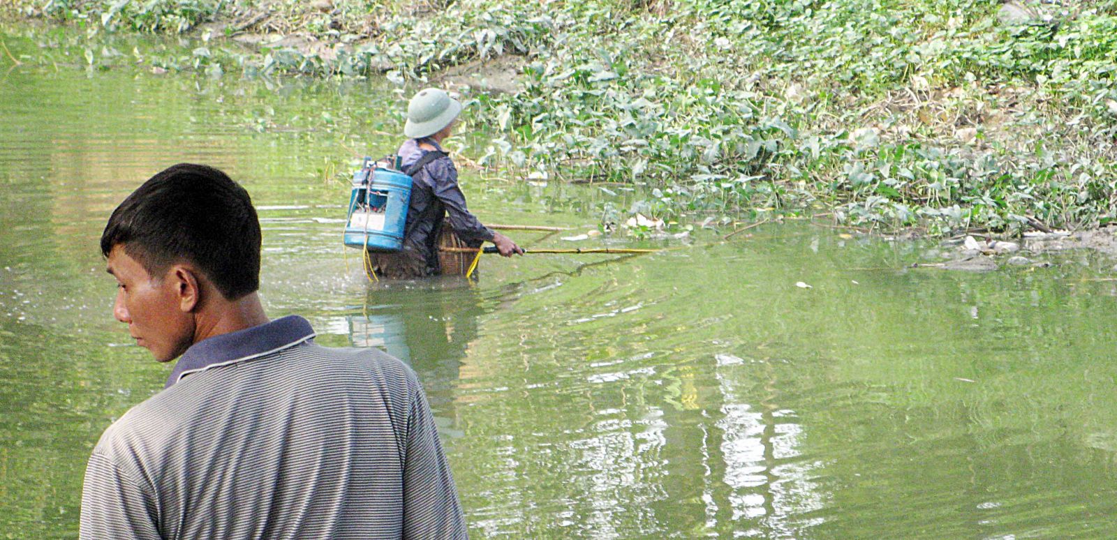 thiet bi chuyen dung danh bat ca