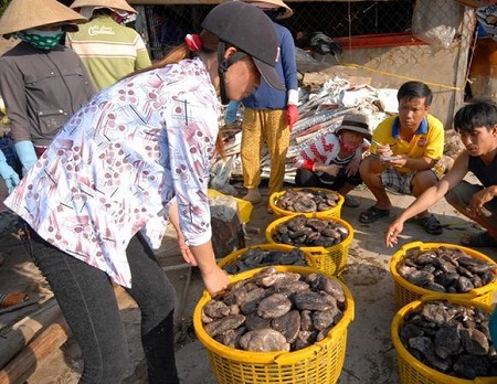 thu mua con banh lông