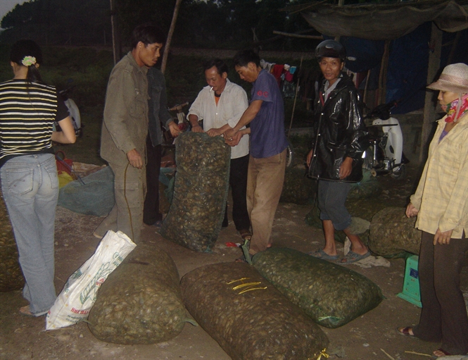 thu mua cua đồng