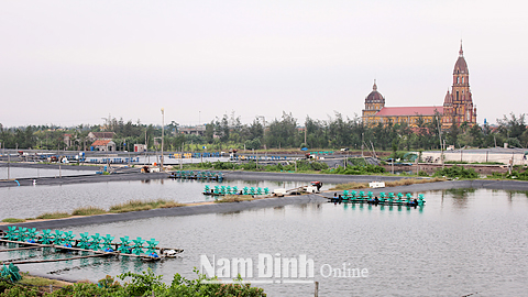 Thuận lợi nhờ sản xuất thủy sản trong vùng được quy hoạch