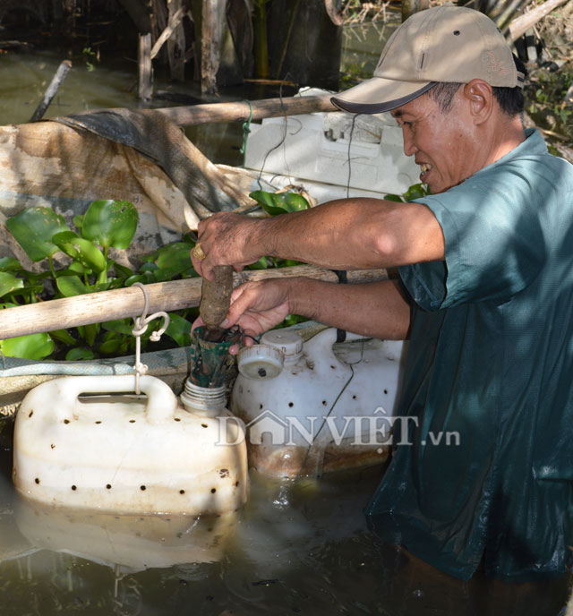 thuc an nuoi luon