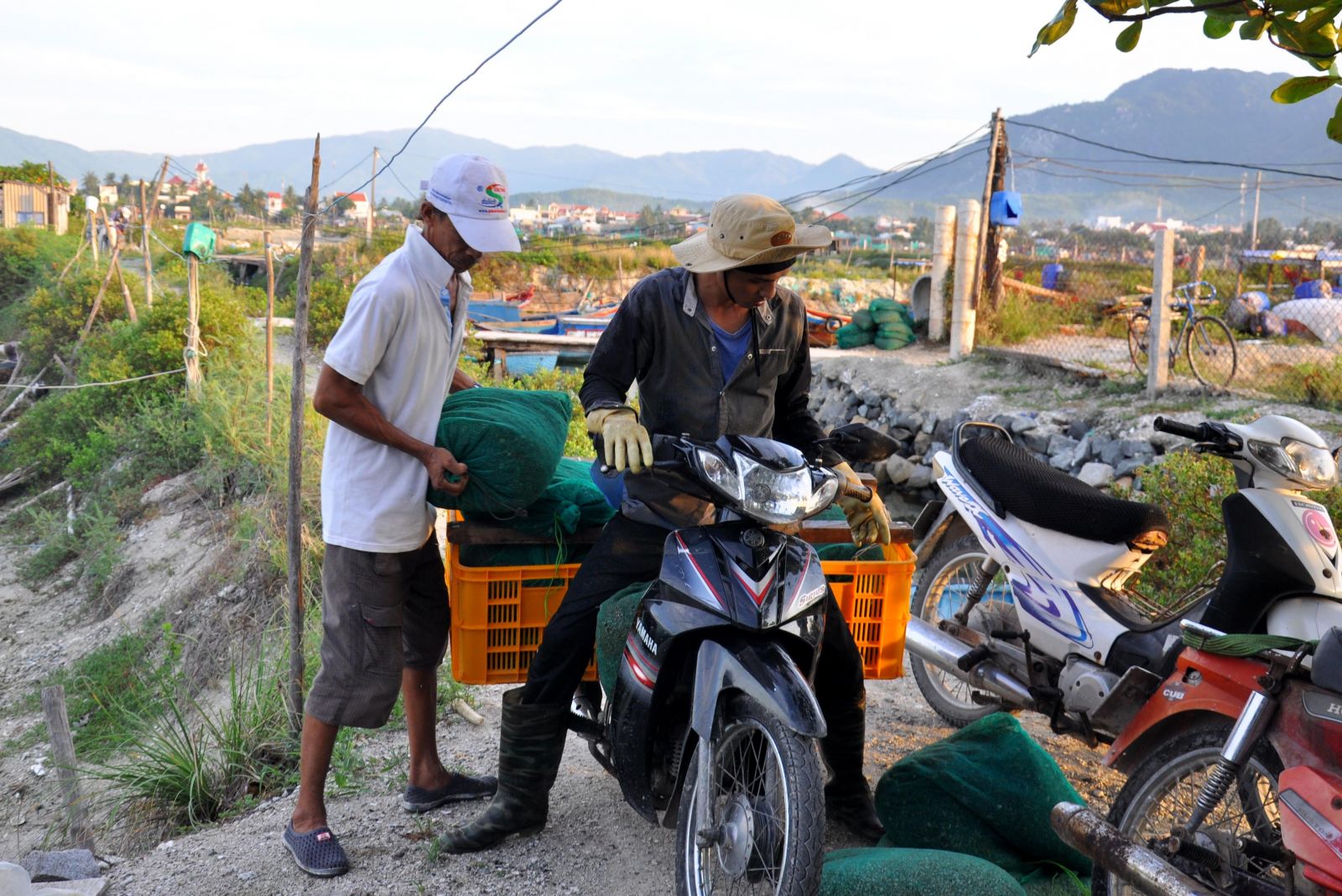 thức ăn tôm hùm, thức ăn cho tôm, nuôi tôm, nuôi tôm hùm