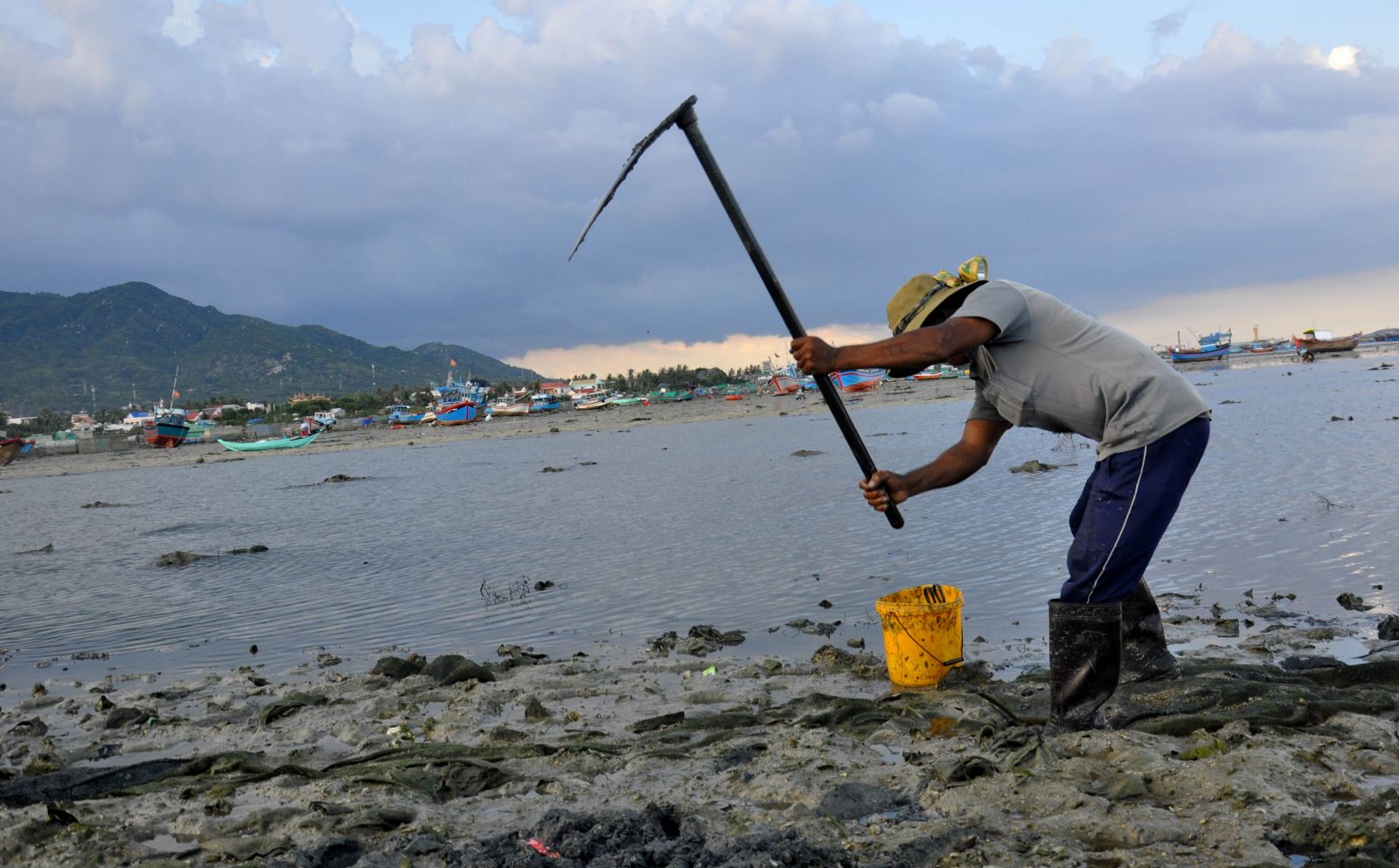 thức ăn tôm hùm, thức ăn cho tôm, nuôi tôm, nuôi tôm hùm