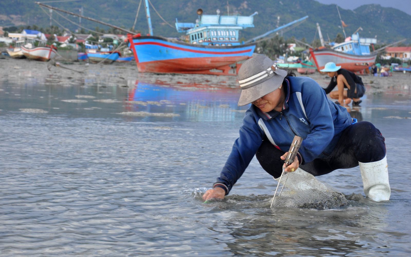 thức ăn tôm hùm, thức ăn cho tôm, nuôi tôm, nuôi tôm hùm