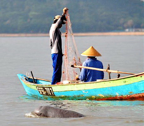 thượng nguồn sông