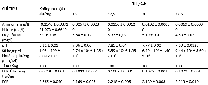 tỉ lệ C:N trong nuôi tôm, tỉ lệ C:N, mật rỉ đường trong nuôi tôm