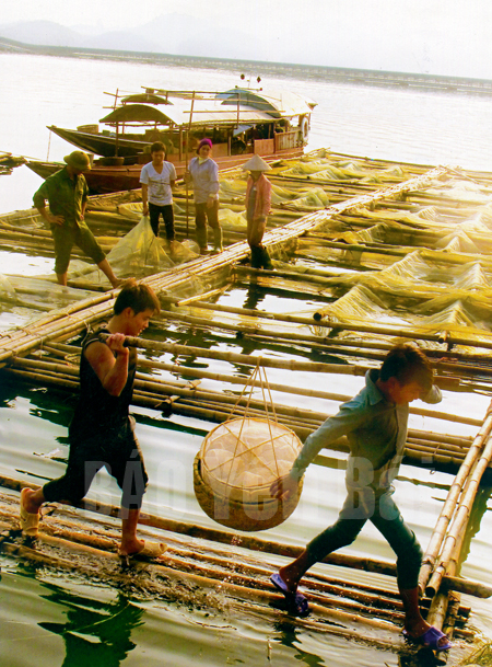 tiêu thụ tôm