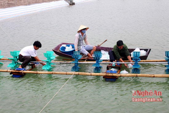 trải bạc nuôi tôm