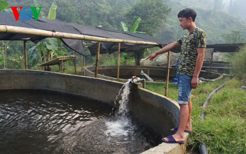 trại cá hồi nhà