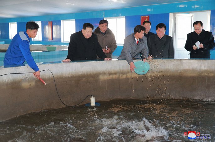 trại nuôi cá da trơn Sunchon, trại nuôi cá tra, nuôi cá da trơn, trại nuôi cá Triều Tiên