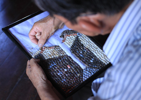 Ông Năm bật mí làm tranh ốc cần tạo hình trước, sau đó mới cẩn thận trang trí thêm. Ảnh: Nguyễn Đông