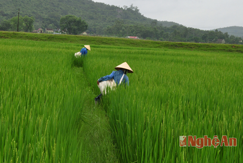 trời bắt đầu tối