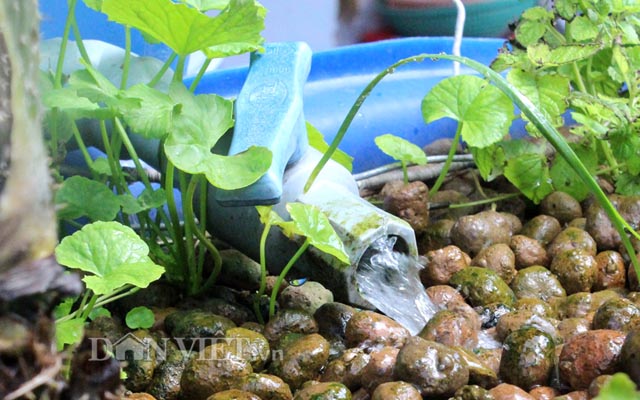  tháp trồng rau bằng rác thải, thủy canh, aquaponics, nuôi cá