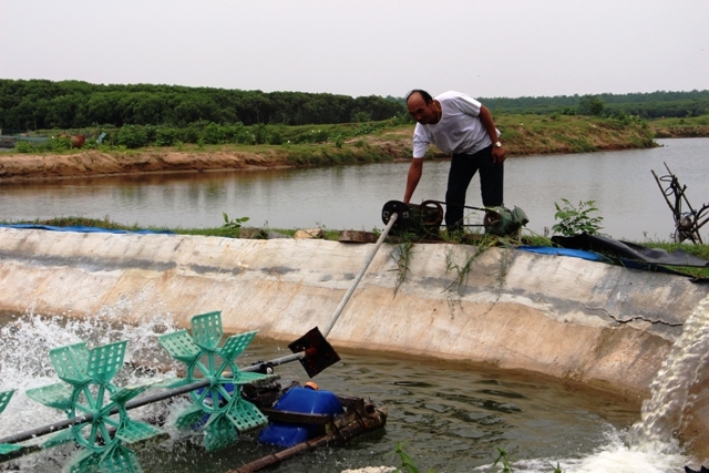 nông dân xuất sắc 2017, nông dân xuất sắc, nuôi ngao biển