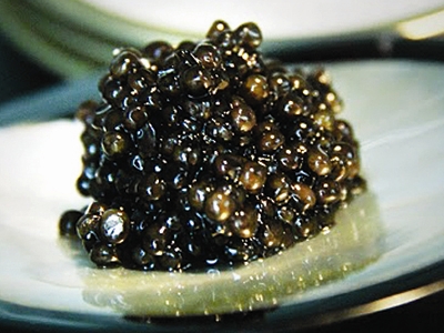 Trứng cá tầm, qua siêu âm như một chùm nho .