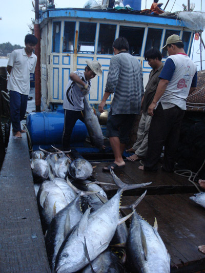 trúng đậm hải sản