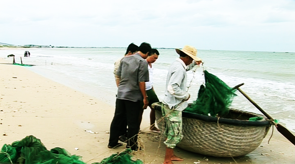 tôm hùm giống, nghề khai thác tôm hùm giống, mùa tôm hùm giống