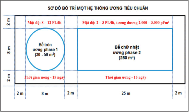 nuôi tôm, ương tôm, hệ thống ương tôm, ương tôm mật độ cao