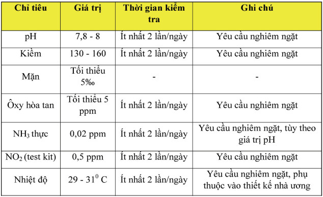 nuôi tôm, ương tôm, hệ thống ương tôm, ương tôm mật độ cao