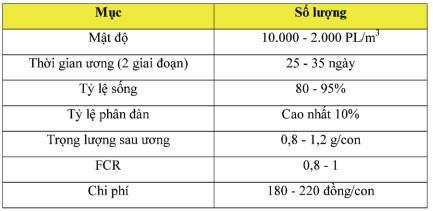 nuôi tôm, ương tôm, hệ thống ương tôm, ương tôm mật độ cao