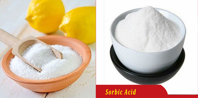 acid citric với nuôi tôm, vai trò acid citric với tôm,  ứng dụng acid citric, nguyên liệu thức ăn