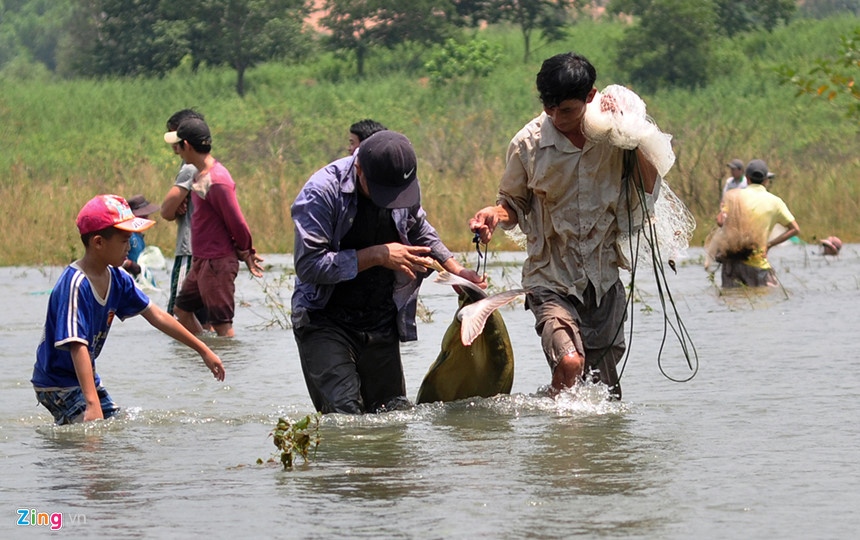 khai thác thủy sản, bắt cá khủng, đánh bắt thủy sản, cá tra, bắt cá,