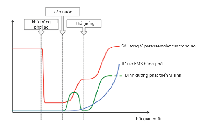 vi sinh trong ao nuoi tom