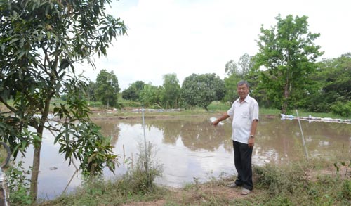 vòng luẩn quẩn của cá Tra