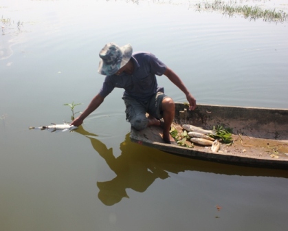 Mỗi ngày, người dân ở đây vớt được hàng trăm kg cá chết. Ảnh: Nguyễn Trường