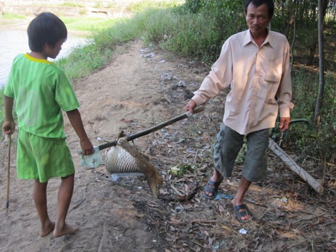 Người dân vớt cá đi chôn