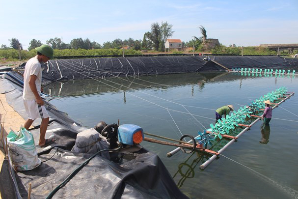 Nhiều ao nuôi sau khi lấy nước vào gây màu đã dùng hệ thống quạt oxy để đánh tan một số hợp chất không cần thiết trong nước, để chuẩn bị thả tôm giống. Ảnh: Việt Hùng