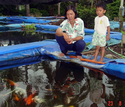 vùng nuôi cá cảnh