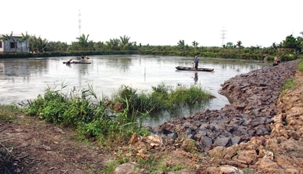 vung nuoi tom hai phong