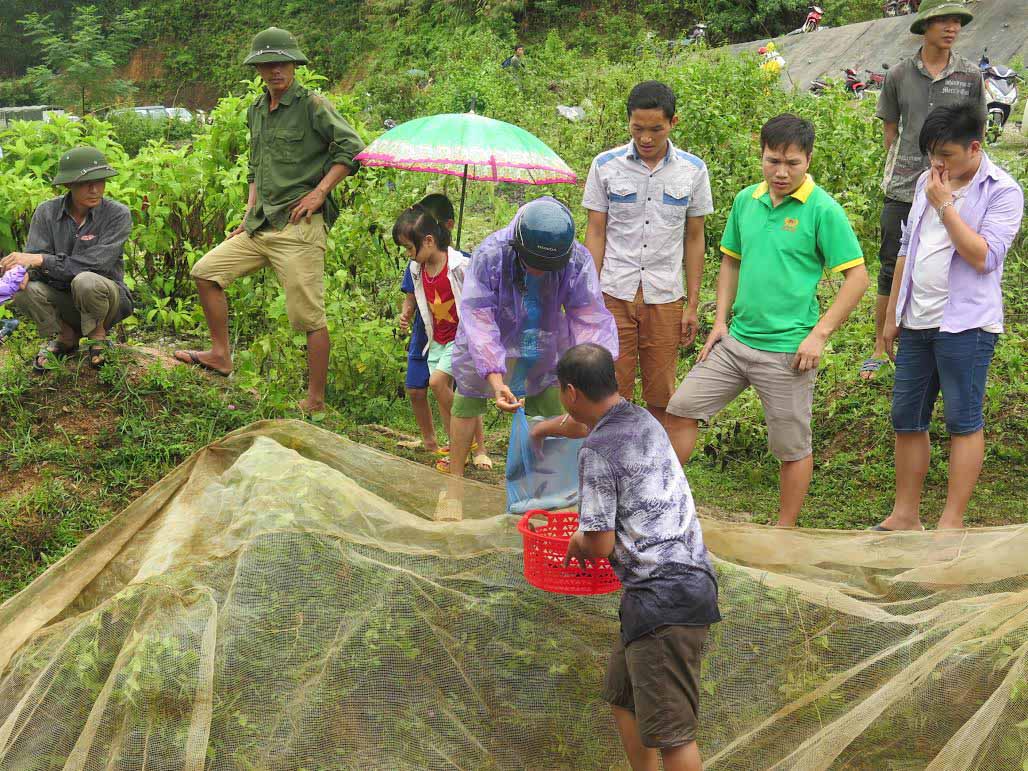 thủy điện tuyên quang xả lũ trôi bè cá